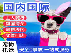 塔什库尔干红其拉甫国际宠物托运 【国